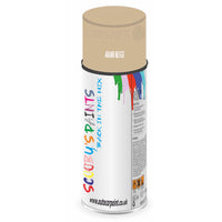 Mixed Paint For Rover Metro Aran Beige Aerosol Spray A2