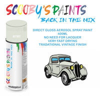 High-Quality ARCTIC WHITE Aerosol Spray Paint 507 For Classic Rover 25- Paint for restoration high quality aerosol sprays