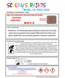ARIANCA BEIGE Aerosol Spray Paint Code BG13 Classic Triumph Model Toledo Automotive Restorative Paint Vehicle Touch-Up Triumph BG13 Paint Car Restoration DIY Auto Painting Classic Car Refinishing High-Quality Spray Paint Automotive Finish Vehicle Restoration Supplies Custom Car Paint Auto Body Paint Aerosol Can Automotive Refinishing Paint for Classic Cars