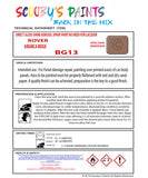 ARIANCA BEIGE Aerosol Spray Paint Code BG13 Classic Triumph Model Stag Automotive Restorative Paint Vehicle Touch-Up Triumph BG13 Paint Car Restoration DIY Auto Painting Classic Car Refinishing High-Quality Spray Paint Automotive Finish Vehicle Restoration Supplies Custom Car Paint Auto Body Paint Aerosol Can Automotive Refinishing Paint for Classic Cars
