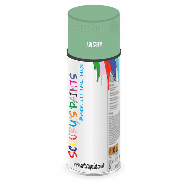 Mixed Paint For Austin Vitesse Ash Green Aerosol Spray A2