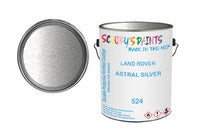Mixed Paint For Land Rover Defender, Astral Silver, Code: 524, Silver/Grey