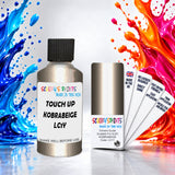 Scooby’s Paints 30ml touch up paint suitable for AUDI paint code LC1-Y