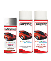 Daewooespero Poly Silver Complete Aerosol Kit With Primer And Lacquer