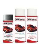 Chevrolet Cheviniva Delfin/Serebristo Sevy Complete Aresol Kit With Primer And Lacquer