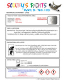 Instructions for use Alfa Romeo Minimal Grey Car Paint