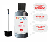 Audi Anthracite Grey Paint Code F8J