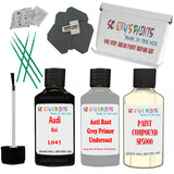 Audi Black Car Detailing Paint and polish finishing kit