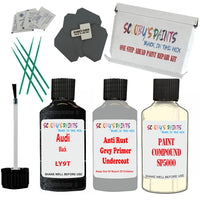 Audi Black Car Detailing Paint and polish finishing kit