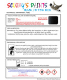 Instructions for use Audi Deep Black Car Paint