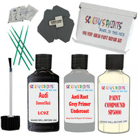 Audi Diamond Black Car Detailing Paint and polish finishing kit