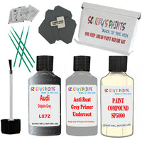 Audi Dolphin Grey Car Detailing Paint and polish finishing kit