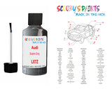 Audi Car Paint