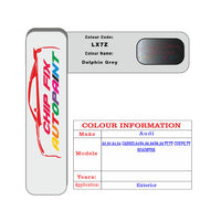 Paint Code Loacation Audi Dolphin Grey