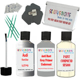 Audi Floret Silver Car Detailing Paint and polish finishing kit