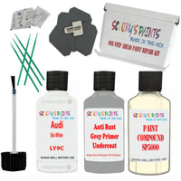 Audi Ibis White Car Detailing Paint and polish finishing kit