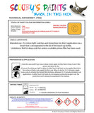 Instructions for use Audi Imola Yellow Car Paint