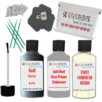 Audi Metal Grey Car Detailing Paint and polish finishing kit