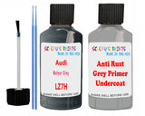 Audi Meteor Grey Car Paint