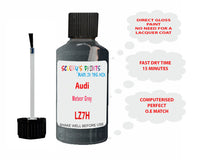 Audi Meteor Grey Paint Code LZ7H