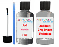 Audi Monsoon Grey Car Paint