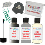 Audi Pepper Grey Car Detailing Paint and polish finishing kit