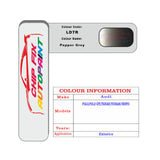 Paint Code Loacation Audi Pepper Grey