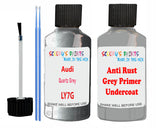 Audi Quartz Grey Car Paint