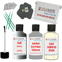 Audi Quartz Grey Car Detailing Paint and polish finishing kit