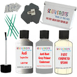 Audi Tungsten Silver Car Detailing Paint and polish finishing kit