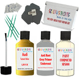Audi Turmeric Yellow Car Detailing Paint and polish finishing kit