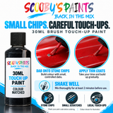 Scooby’s Paints 30ml brush touch-up paint features