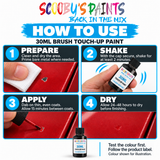 Scooby’s Paints 30ml brush touch-up paint application guide