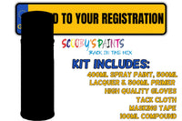 Mixed By Reg Aerosol Touch Up Kits VIN Registration Paint Mix To Code OEM Colours Car Automotive Van Bus Motorbike