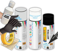 Mixed By Reg Aerosol Touch Up Kits VIN Registration Paint Mix To Code OEM Colours Car Automotive Van Bus Motorbike