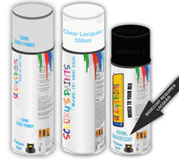 Mixed By Reg Aerosol Touch Up Kits VIN Registration Paint Mix To Code OEM Colours Car Automotive Van Bus Motorbike