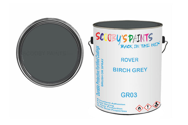 Mixed Paint For Rover A60 Cambridge, Birch Grey, Code: Gr03, Silver-Grey
