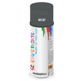 Mixed Paint For Morris Mini Birch Grey Aerosol Spray A2