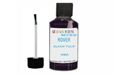 Mixed Paint For Rover 2000, Black Tulip, Touch Up, Kma