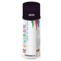 Mixed Paint For Rover 2500 Black Tulip Aerosol Spray A2