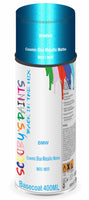 Aerosol for BMW Motorcycles R Nine T