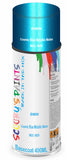 Aerosol for BMW Motorcycles R Nine T