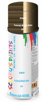 Aerosol for BMW Motorcycles R Nine T