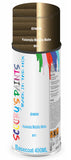 Aerosol for BMW Motorcycles R Nine T