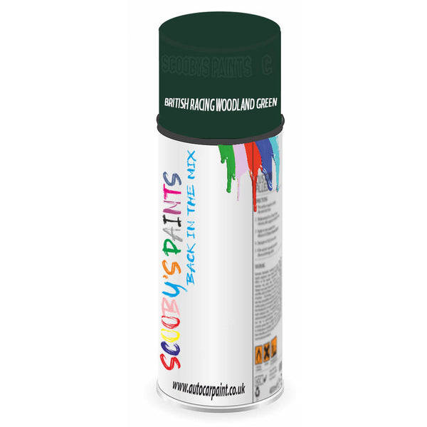 Mixed Paint For Austin Maxi British Racing Woodland Green Aerosol Spray A2