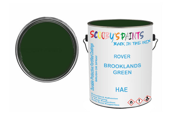 Mixed Paint For Rover Metro, Brooklands Green, Code: Hae, Green