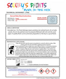 Instructions For Use Bugatti ALL MODELS Touch Up Paint