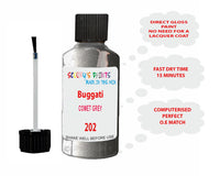 Bugatti COMET GREY Paint Code 202
