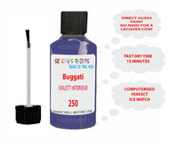 Bugatti VIOLETT INTERIEUR Paint Code 250