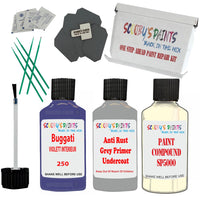 Bugatti VIOLETT INTERIEUR Car Detailing and Polish Finish Kit